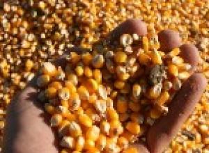 Argentina: Caen un 15 por ciento las exportaciones de alimentos
