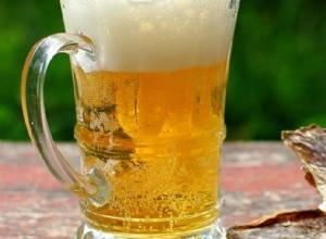 El consumo moderado de cerveza dentro de una dieta equilibrada