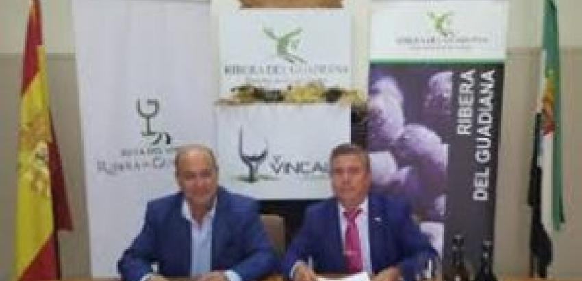 La diputación de Badajoz apoyará la promoción de los vinos D.O.Ribera del Guadiana