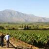 Enoturismo en Chile, las Rutas del Vino