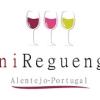  Reguengos de Monsaraz atrae a decenas de productores de vino y centenas de marcas en la II ViniReguengos