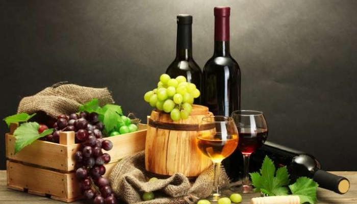 Nuevo aporte a la cultura vitivinícola