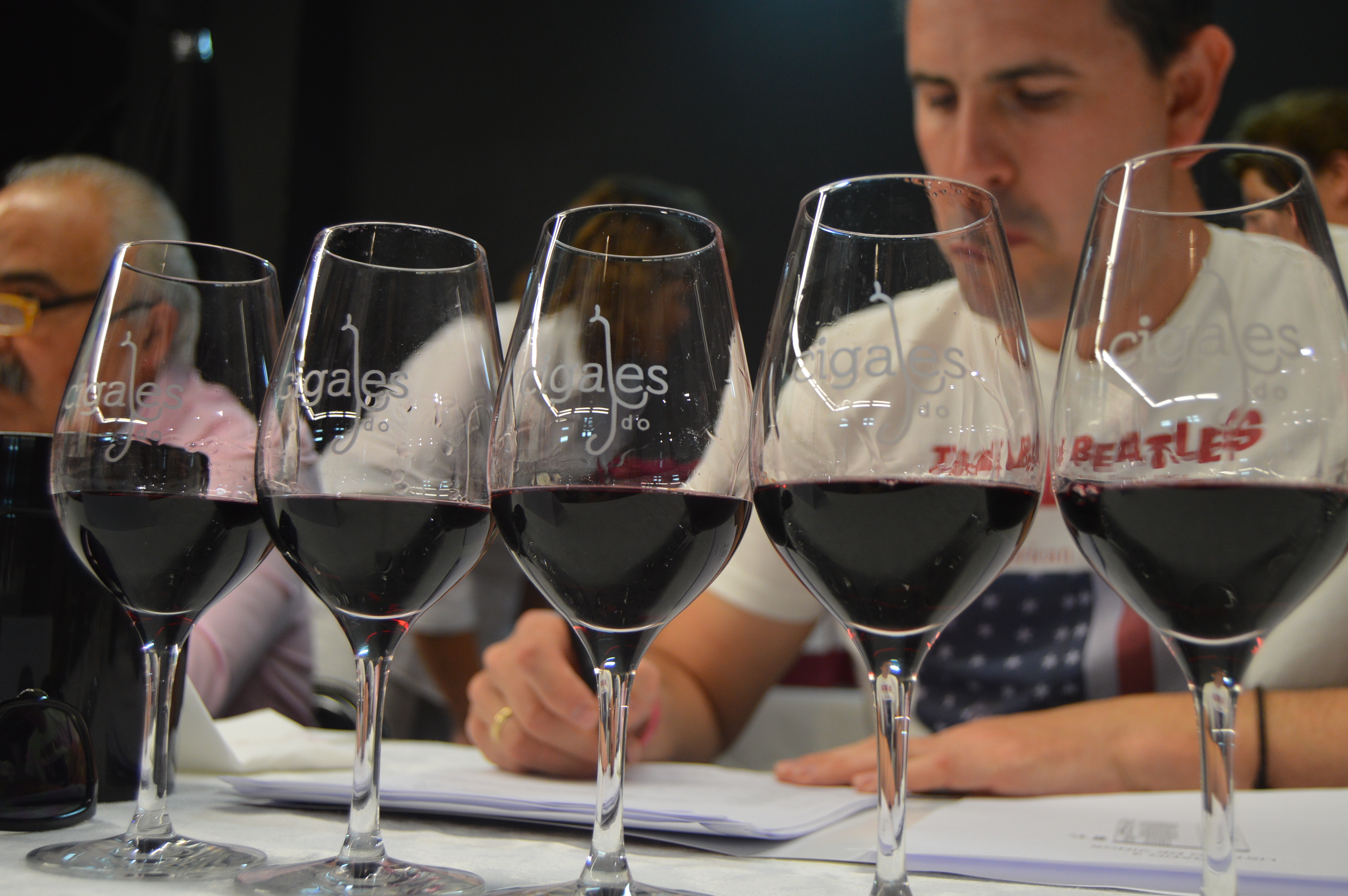 Denominación de Origen Cigales-presentación-cata