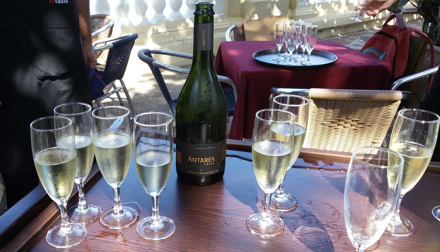 vinos-chilenos