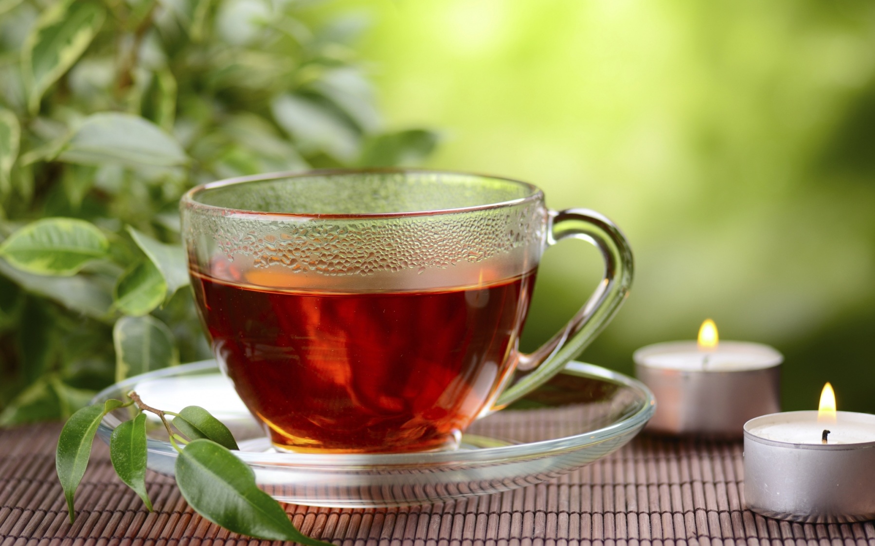 te-propiedades-beneficios