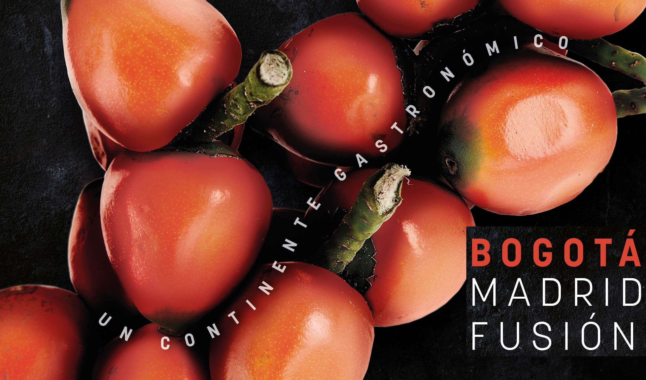 Bogota Madrid Fusion-2019 