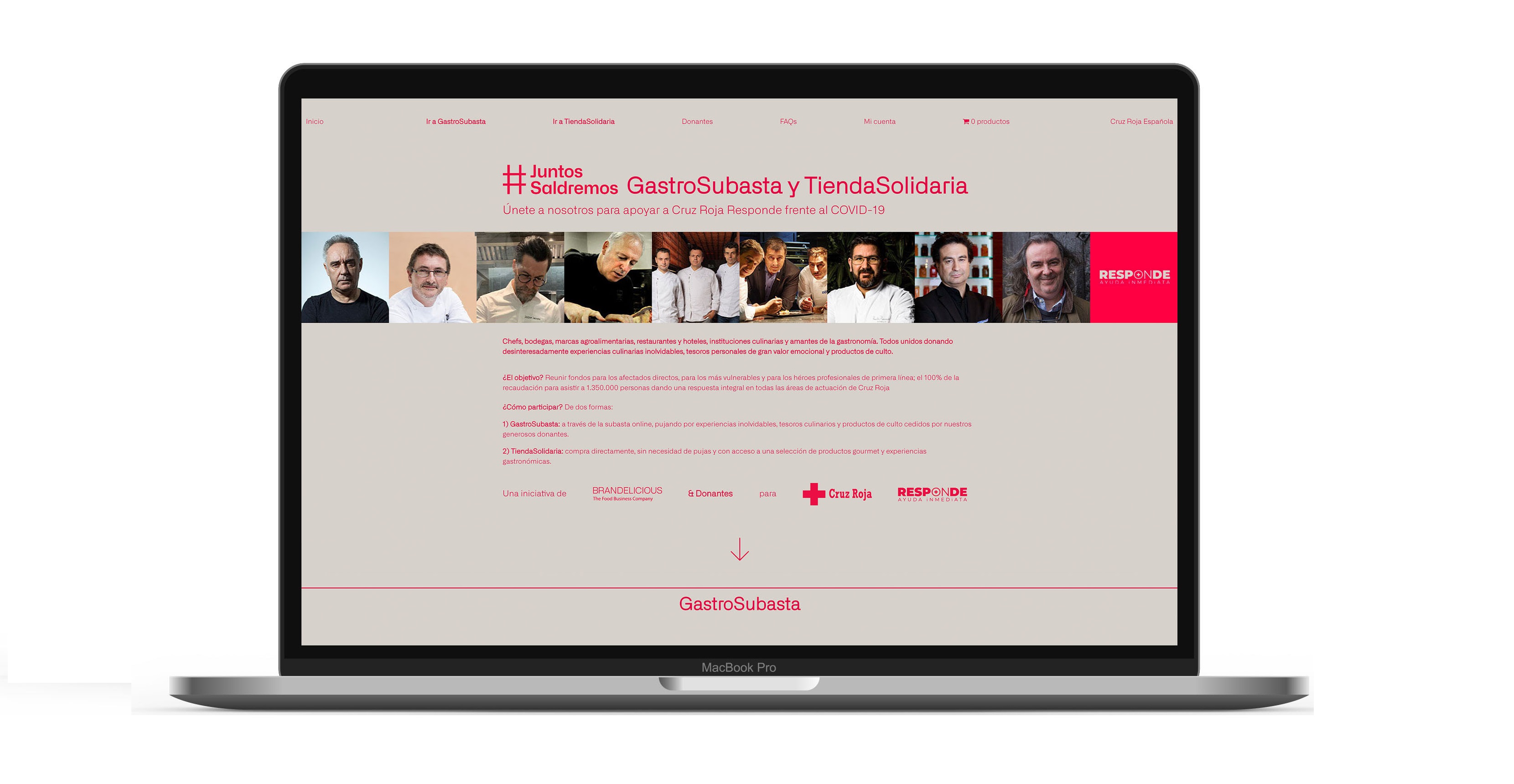  #JuntosSaldremos-web 