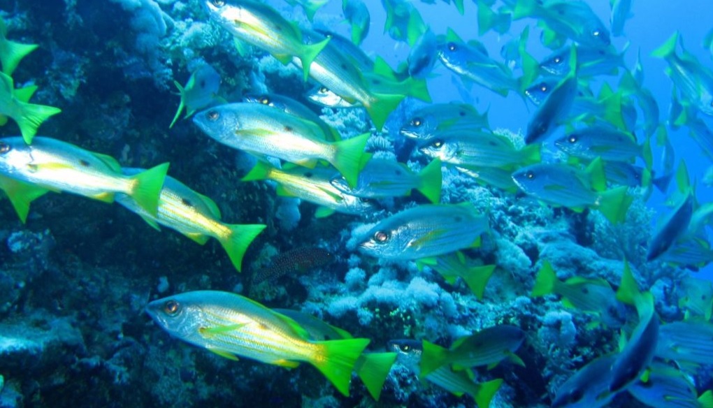 Encuentro de los Mares