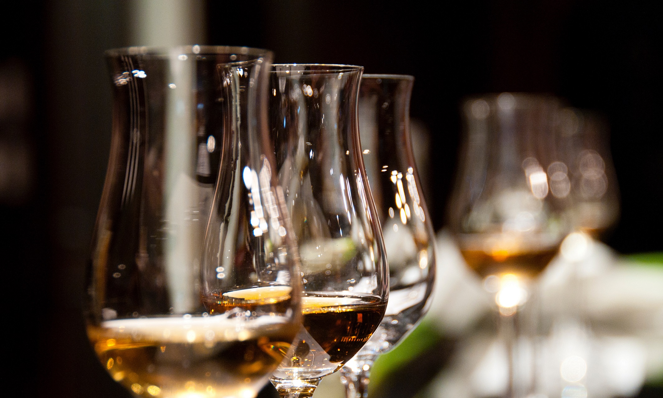 Alicante Gastronómica-Concurso-Mejores-Vinos-del-Mediterráneo