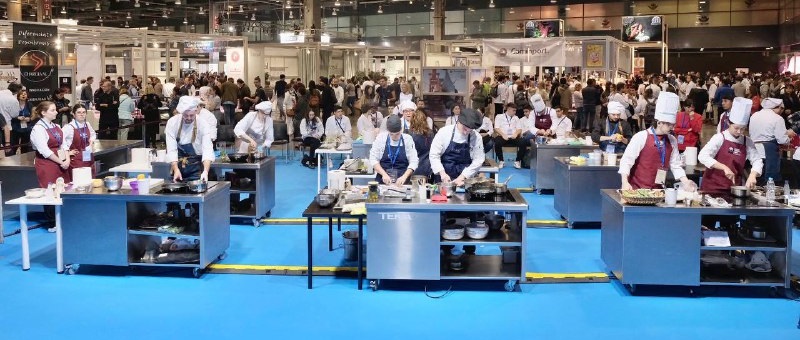 mediterránea gastrónoma