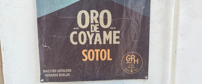 sotol