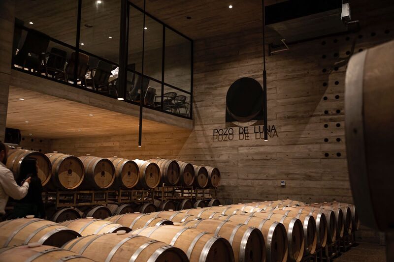 Vinícola Pozo de Luna