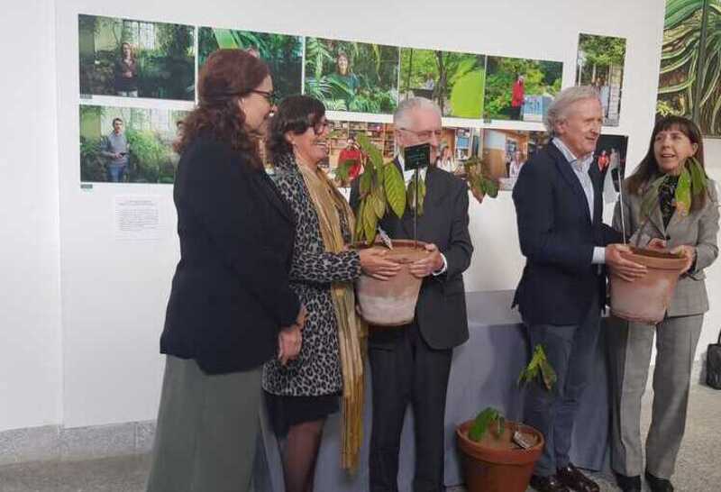 Ecuador dona al Real Jardín Botánico-CSIC la primera planta de cacao