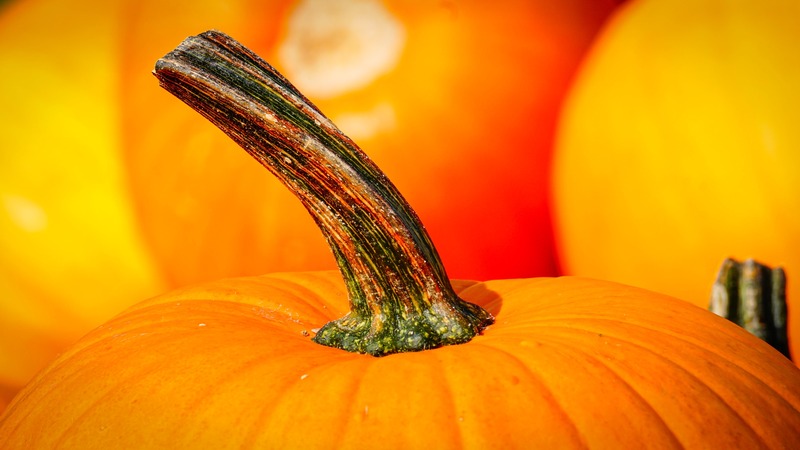 calabaza