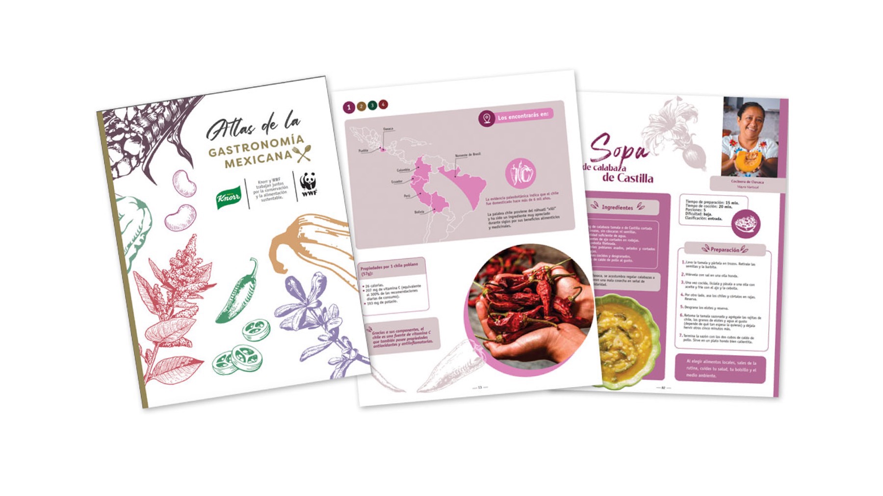 Atlas gastronomía mexicana 