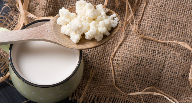 kéfir probiótico lácteo natural