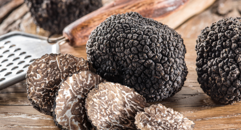 La ruta gastronómica "Descubre la Trufa"