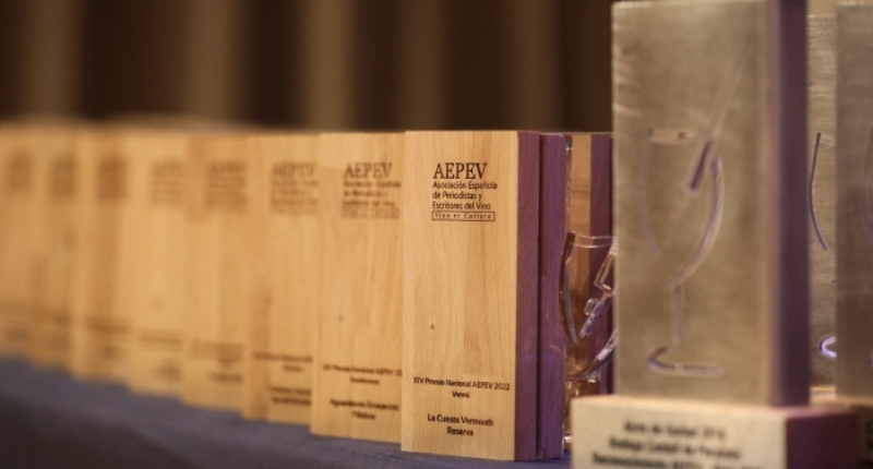 XVI Premios AEPEV