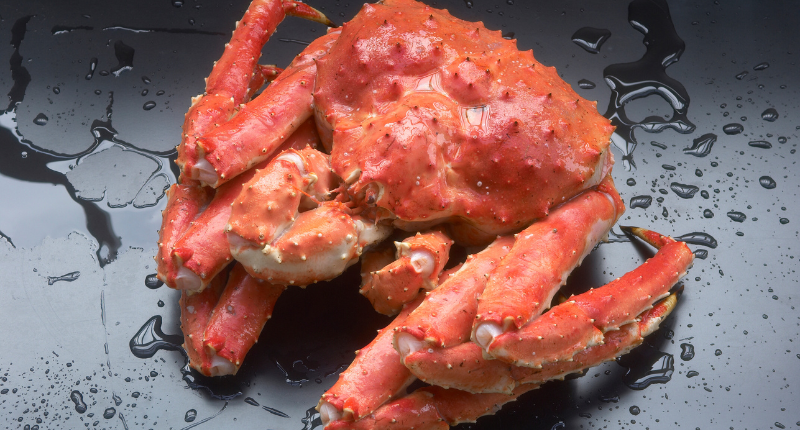 cangrejo-real-chatka