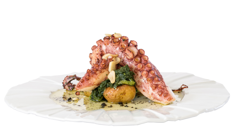 pulpo cocina del mar 