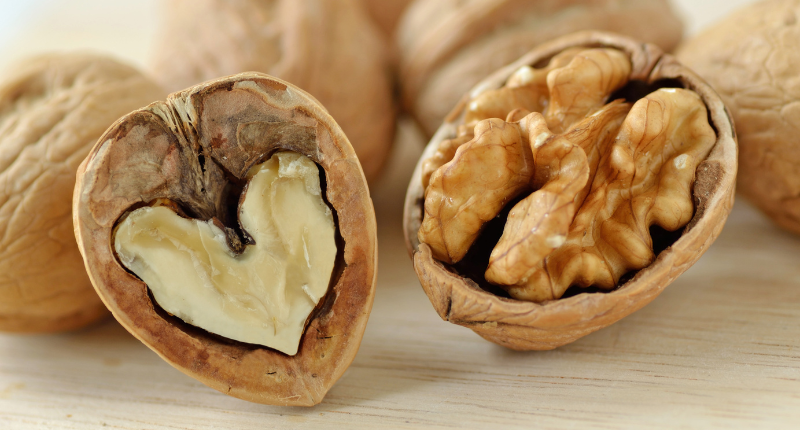 Semana del cerebro sentidos