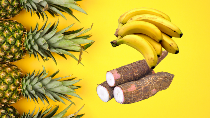 Piña, yuca y banano, los tres emblemas gastronómicos de Costa Rica