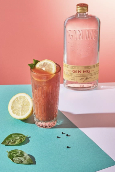 “RED SNAPPER” PARA DISFRUTAR UN PICNIC