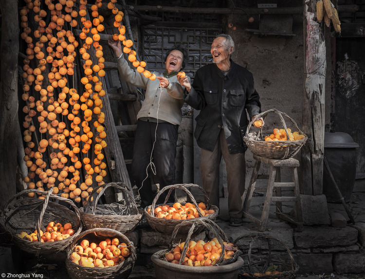Zhonghua Yang, Hanging Up Persimmons. China