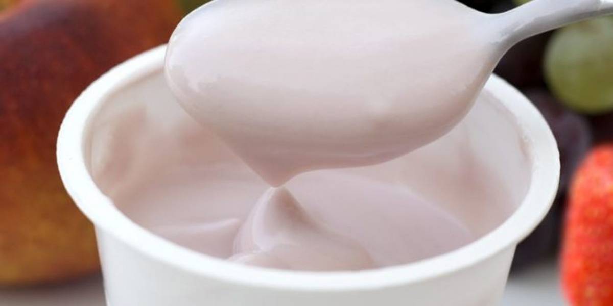 Yogurt prebiótico 