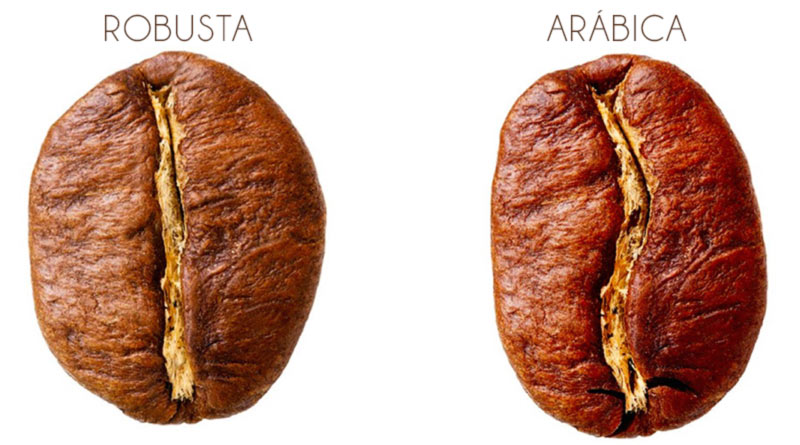 cafe-arabica-robusta