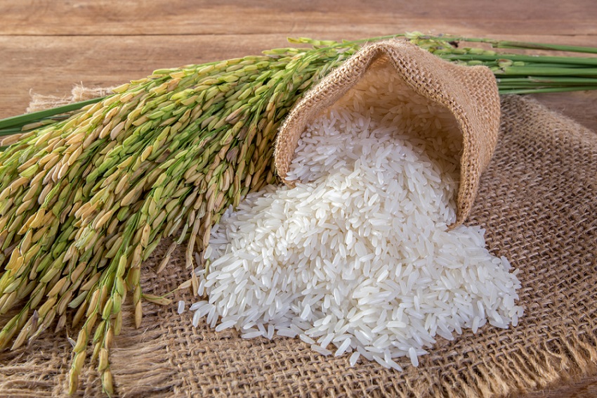 alimentos de ida y vuelta-arroz