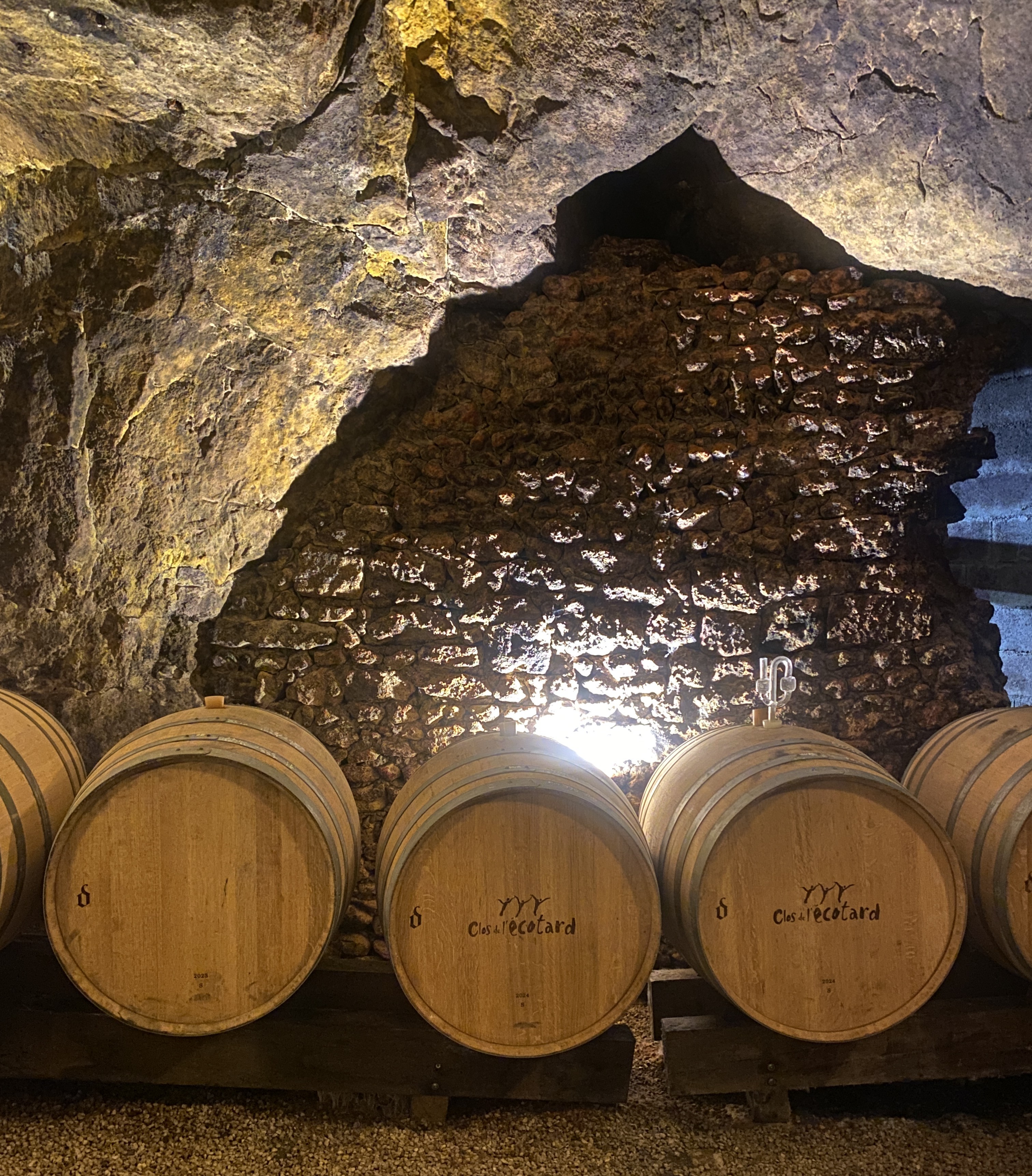 Barriles en la bodega de vino Clos de Ecotard