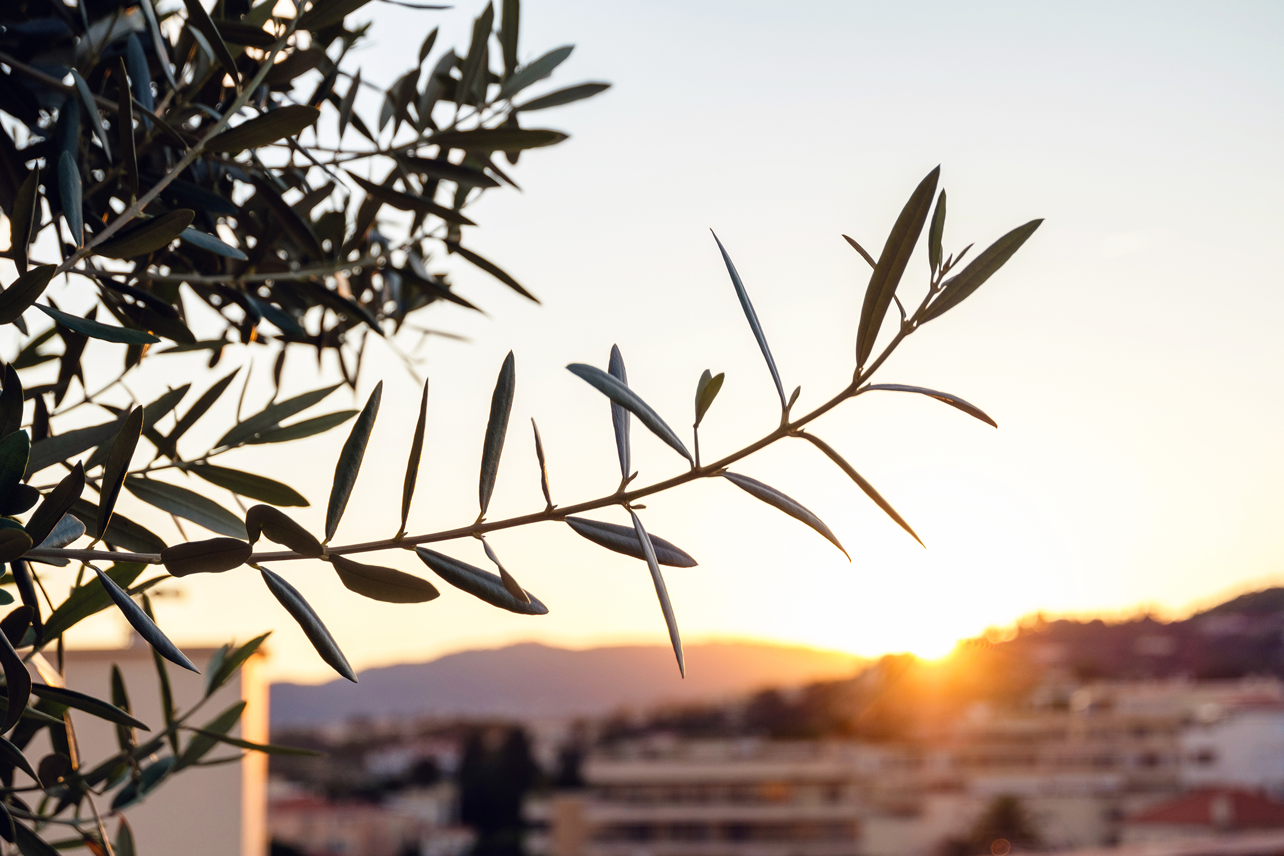 energia gastronomia andalucia