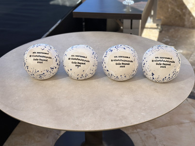 SOLES SOSTENIBLES REPSOL