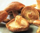 Shiitake la seta de la longevidad