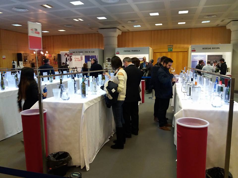 Enofusión, la expresión del vino