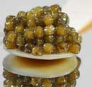 Caviar del mar Caspio, el más codiciado en Estados Unidos