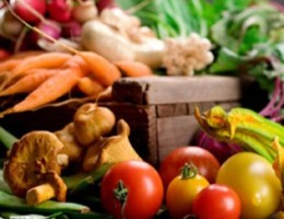 Fraude masivo en la agricultura ecológica