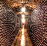 La «Larga Vida» de un vino