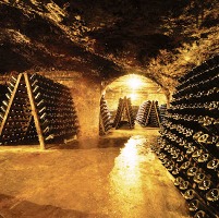 La «Larga Vida» de un vino