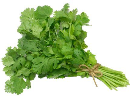 ¿Cómo cocinar con el culantro?