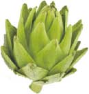 La alcachofa ecológica: manjar exquisito en nuestra gastronomía