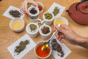  Todos los secretos del universo del TÉ en las Catas de Tekoe