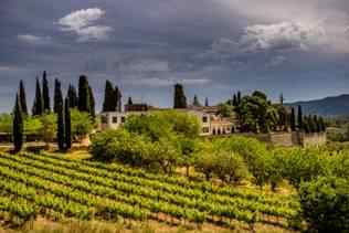 Juvé & Camps viaja al pasado con una cata de sus mejores cavas en Madrid Fusión