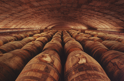 La crianza de los vinos