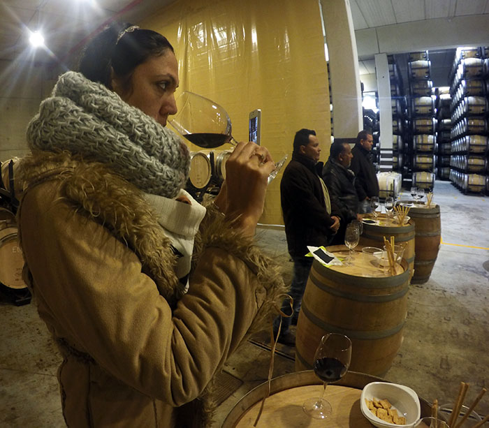 Bodegas Torres: redescubriendo el sabor de España (II Parte)