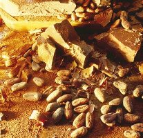 Cuba acogerá encuentro de cacao y chocolatería