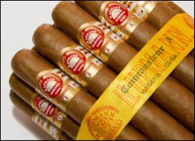 H.Upmann Connossieur A para La Casa del Habano y Especialistas