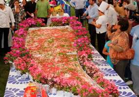 Chile en nogada: Un platillo de proporciones históricas