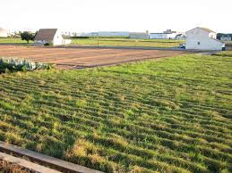 La chufa ecológica se pone de moda